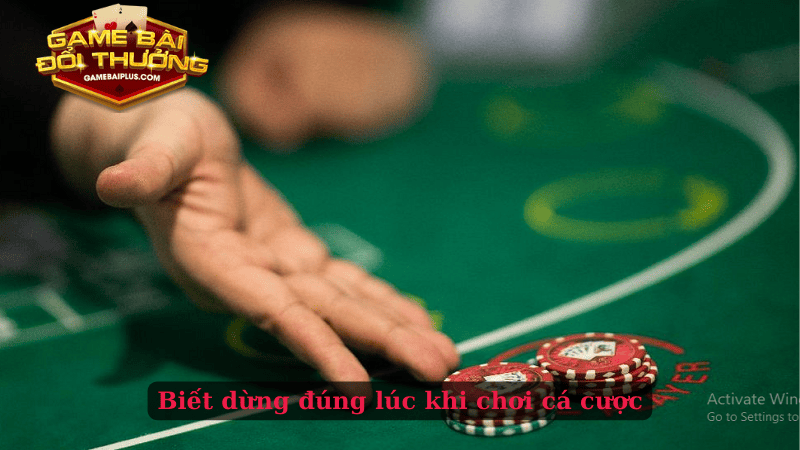 Biết dừng đúng lúc khi chơi cá cược