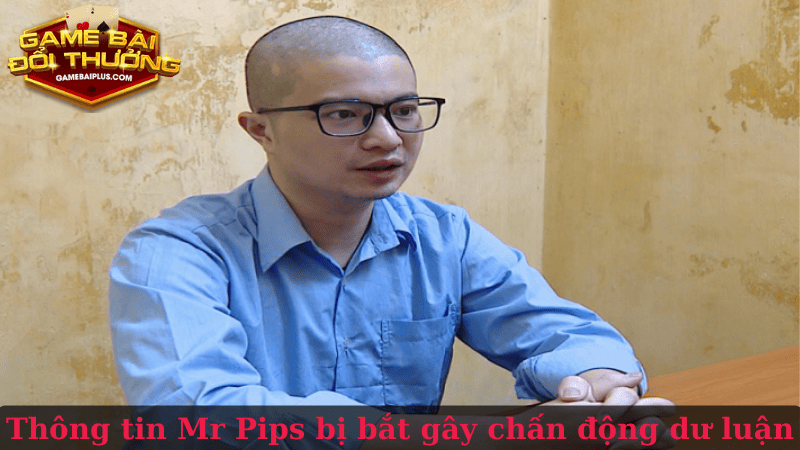 Thông tin Mr Pips bị bắt gây chấn động dư luận